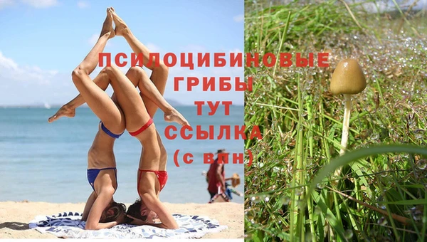 экстази Новозыбков