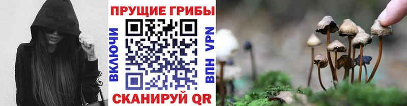 сколько стоит ссылка на мегу онион Псилоцибиновые грибы Magic Shrooms Кандалакша